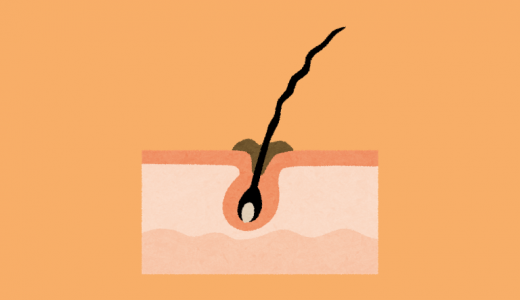 頭皮の毛穴に詰まった皮脂が原因で脱毛する？頭皮の脂やべたつきの原因は皮脂？