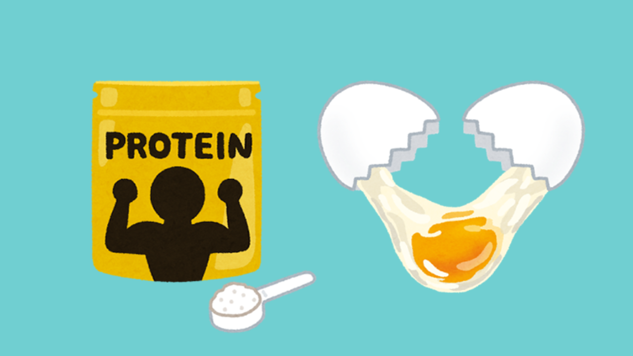 プロテイン たんぱく質 アミノ酸 生卵 の摂取はハゲる原因 それとも育毛対策 Iq