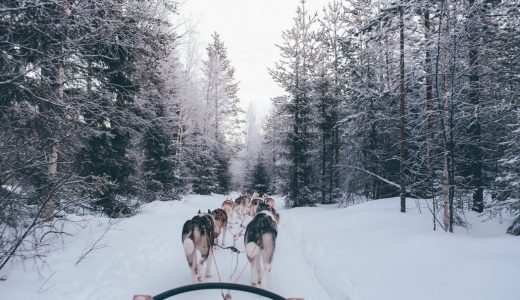 潜在能力の埋没を防ぎ、能力の顕在化の最適化をする。そのために知るべき言葉は『ピンチはチャンス』だ。