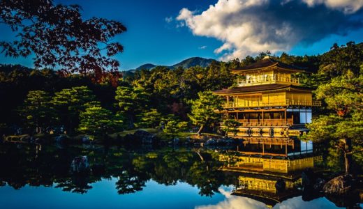 『史上最低の将軍』八代将軍足利義政は、ある分野では足利一族で最も多大な貢献をした人物でもあった！