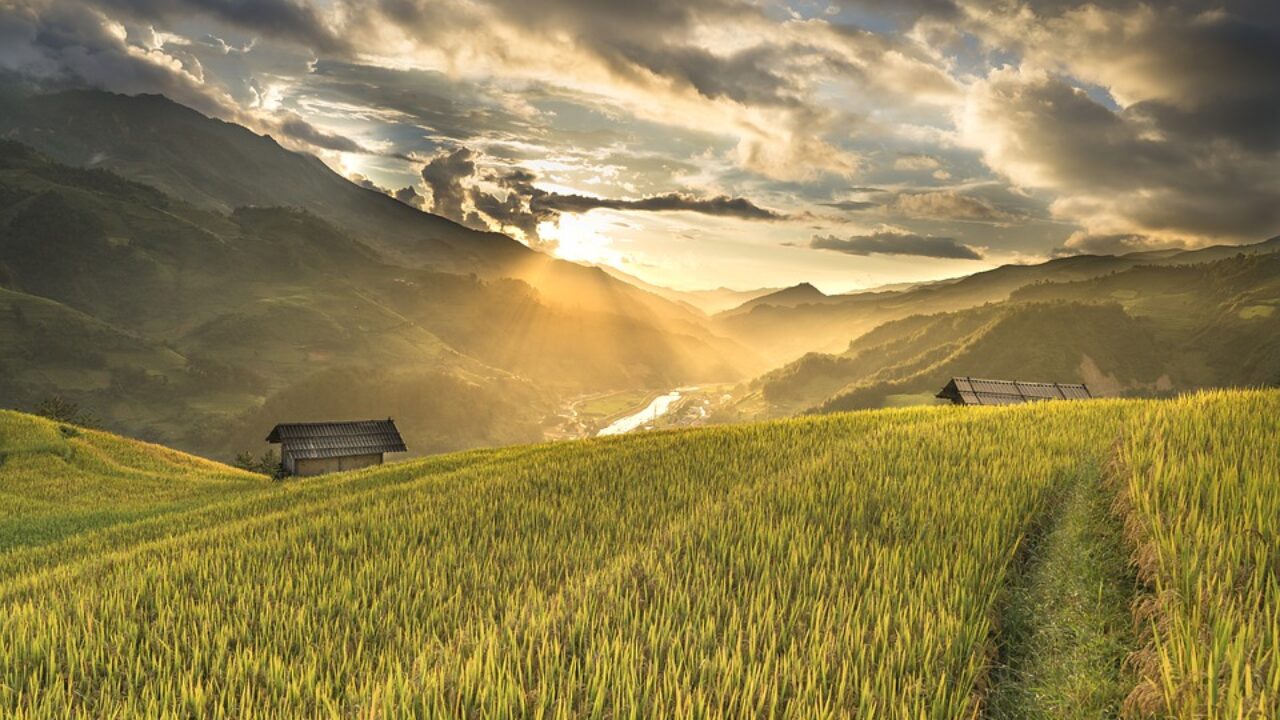 暴れん坊将軍 徳川吉宗は実際には暴れる暇もないほど 米将軍 として微調整を強いられた Iq