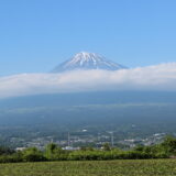 『富士山-信仰の対象と芸術の源泉（世界遺産）』写真一覧