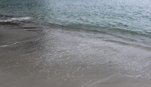 『＜初寝浦＞小笠原諸島（世界遺産）』写真一覧