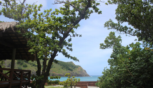 『＜小港海岸＞小笠原諸島（世界遺産）』写真一覧