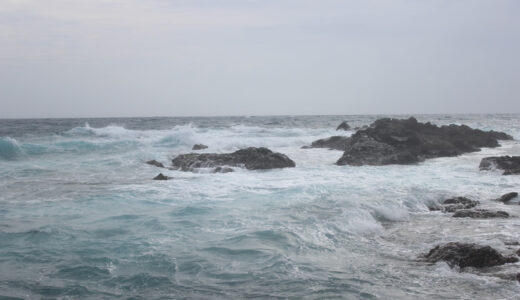 『＜洲崎＞小笠原諸島（世界遺産）』写真一覧